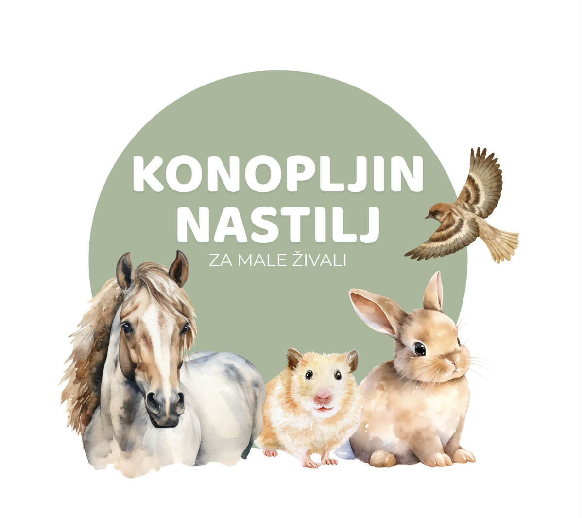 Konopljin nastilj