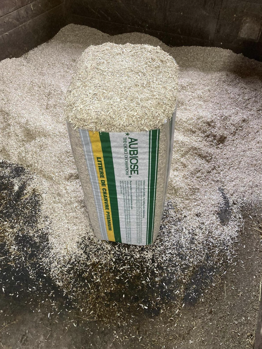 Konopljin nastilj Aubiose