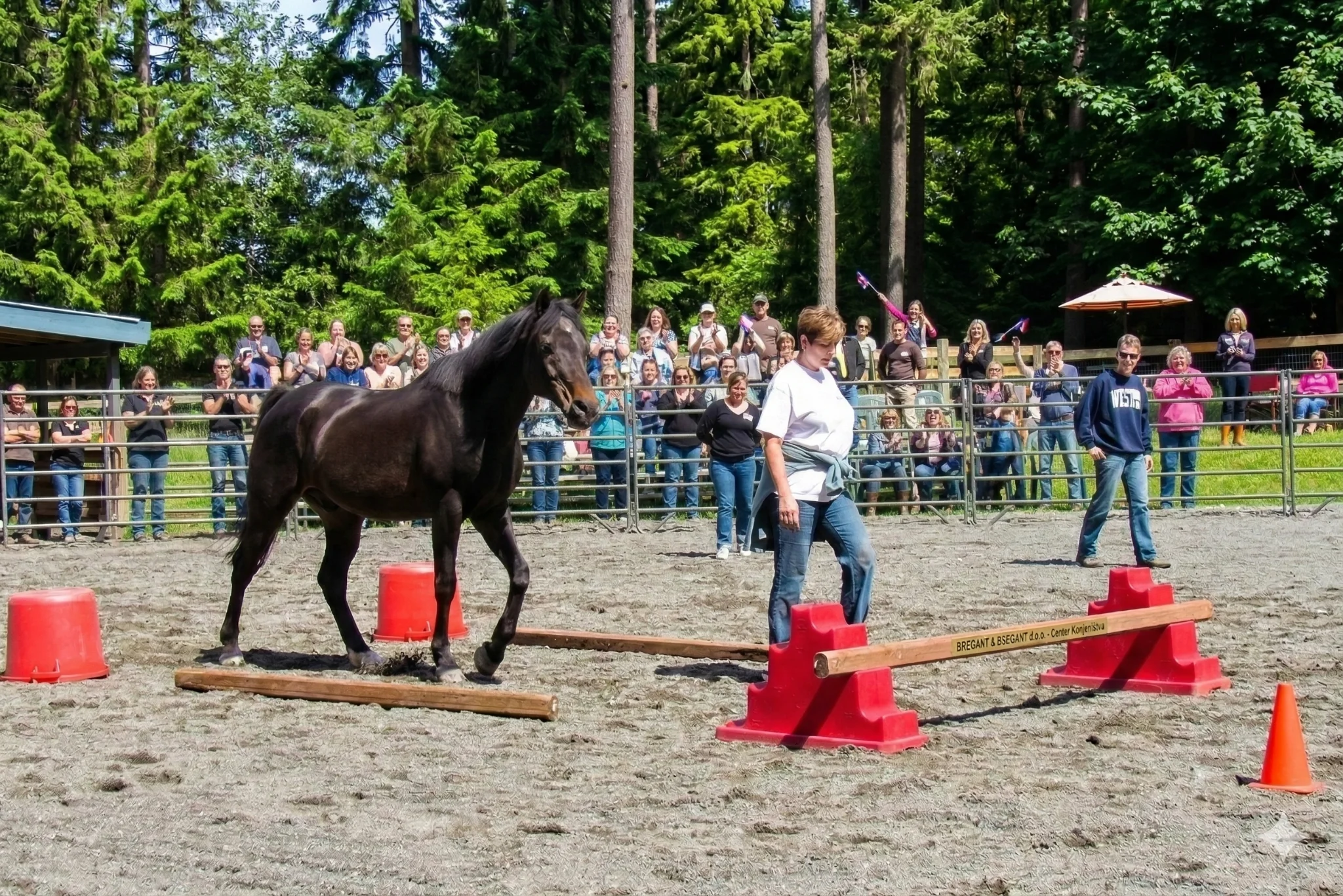 Team building na posestvu